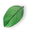 https://www.eurowashdisinfestazioni.it/wp-content/uploads/2025/07/floating_leaf_01.png